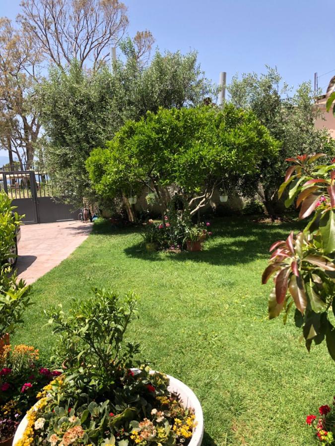 מלון Vlorë Olive House. מראה חיצוני תמונה